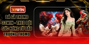 Đá Gà Thomo 33WIN - Theo Dõi Sức Nóng Từ Đấu Trường Thomo